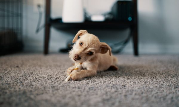 pexels-photo-1750378
