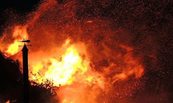 palisades wildfire