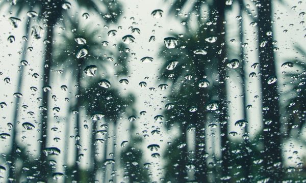 los angeles hurricane rain