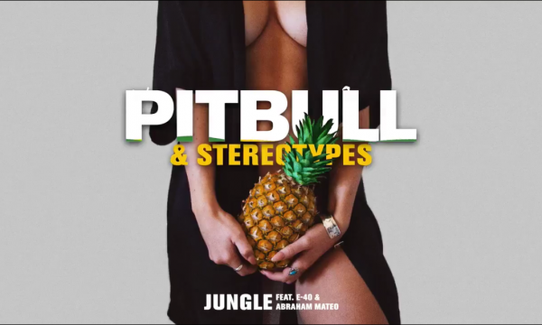 pitbull-stereotypes