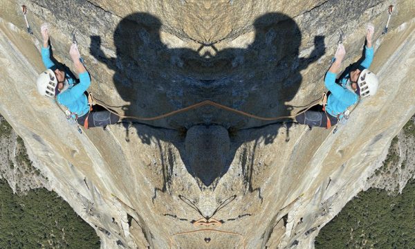 ribbet-collage