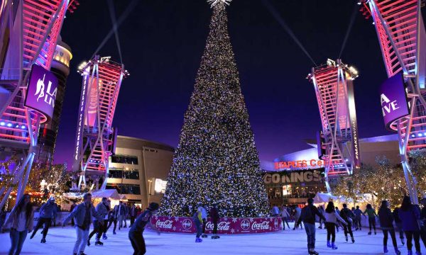rink-shot-with-lal-in-leds_