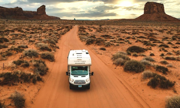 road-bear