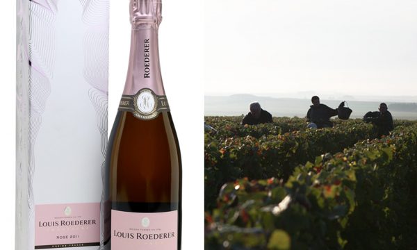 roederer2_edited-1
