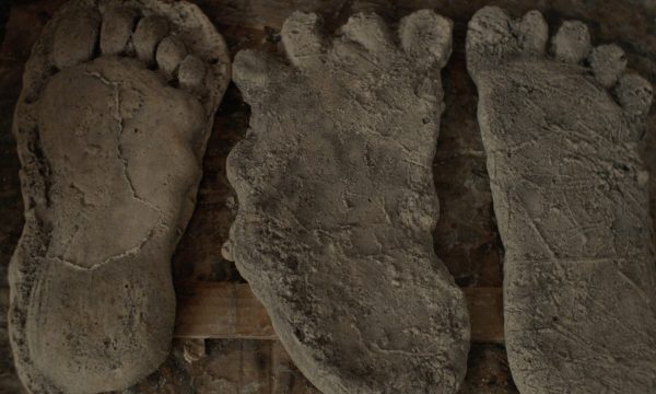 sasquatch_03-1