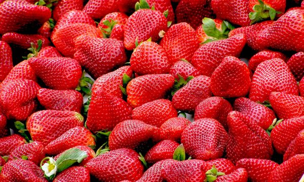 strawberries-red-fruit-royalty-free-70746copy