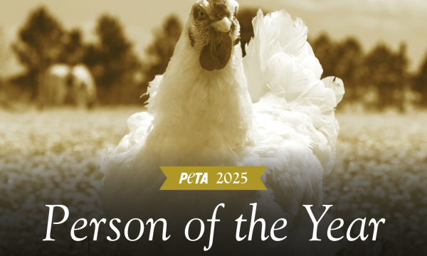 Person of the year peta jane goodall