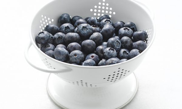 us_highbush_blueberry_council